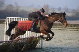 Blue Revelation jumping his second ever hurdle!